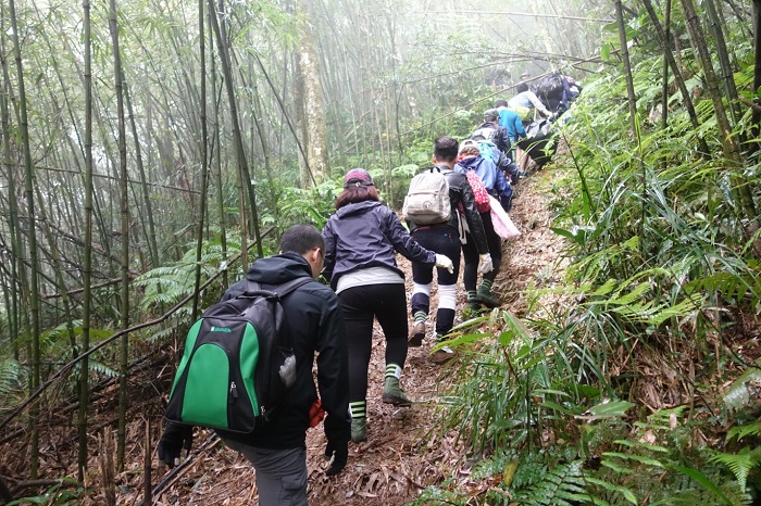 Trekking Tam Đảo và khám phá đỉnh Rùng Rình tuyệt đẹp